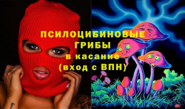 прущая мука Вязники